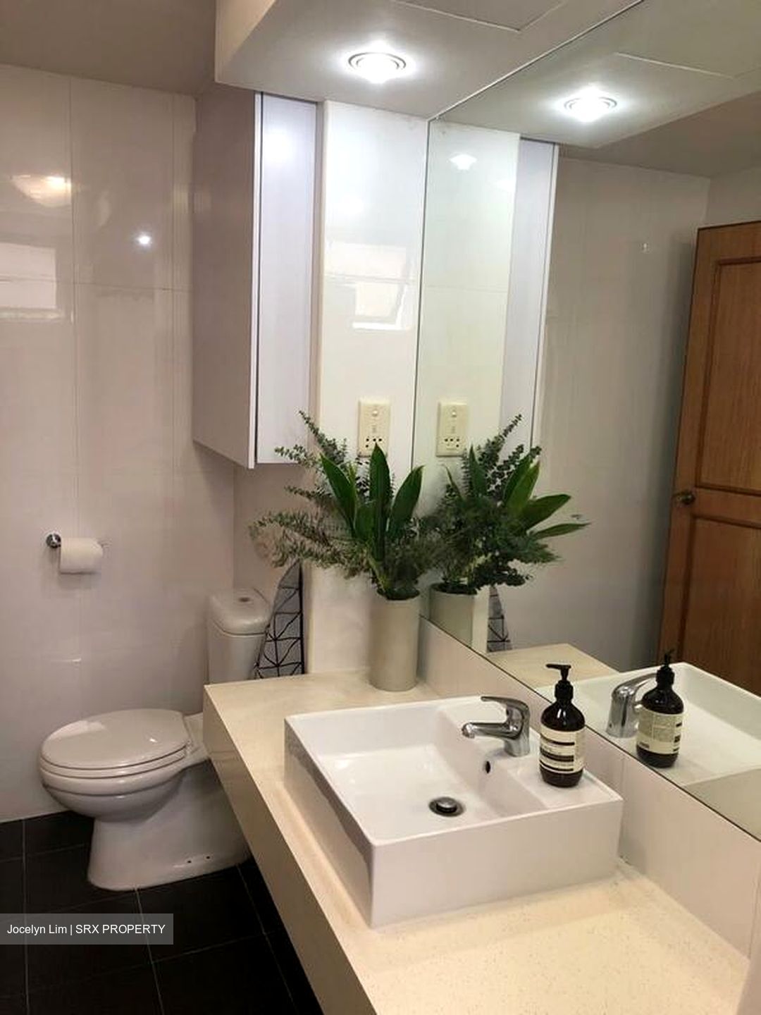 Tanglin Park (D10), Condominium #577225351